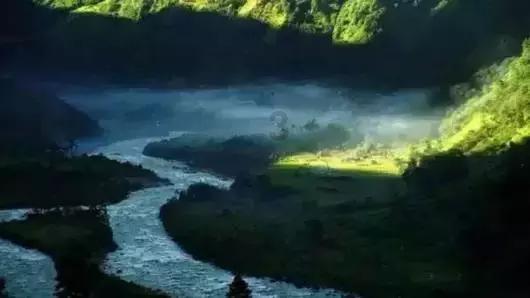 拯救米乐米可